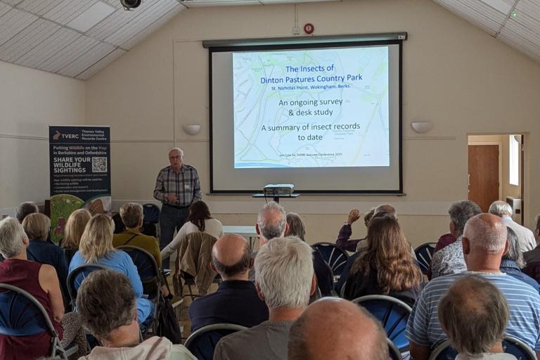 Autumn Recorders' Conference 2025 Dinton Pastures Insects