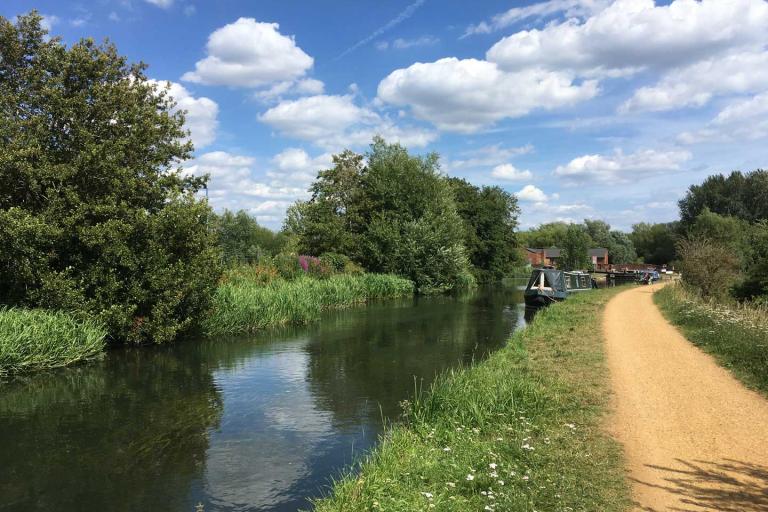 long boats on the canal, wildflowers along the bank on a sunny day