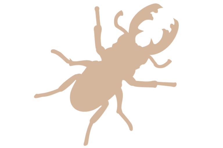 beetle silhouette