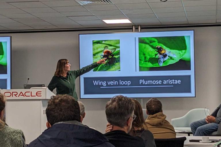 a woman delivering a slide presentation about wing vein loops on a bee
