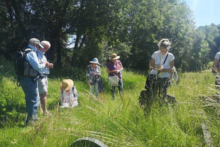 a group of people recording in a graveyard on a sunny day