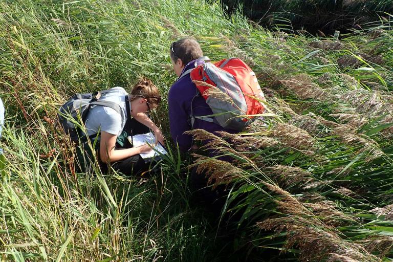 two adults crouched in long grass, one with a clipboard making notes