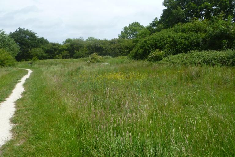 Stratfield Brake Cherwell District Wildlife Site