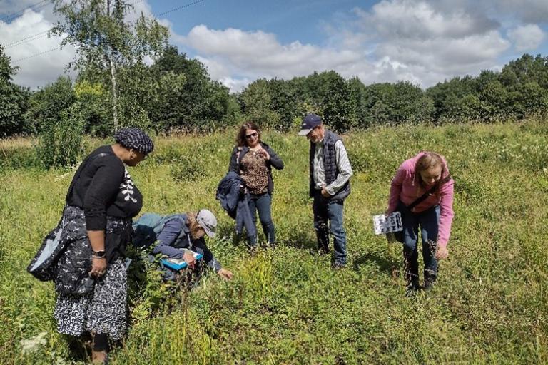 Five adults are standing and crouching in a grassy, wildflower-filled meadow under a partly cloudy sky. Some are closely examining plants, one is holding a field guide or notebook, and another has a bag slung over the shoulder. The group is engaged in an outdoor educational activity. In the background, there are trees bordering the open field.