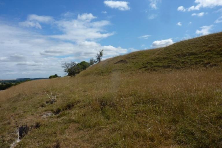 Rolling chalk grassland under a bright blue sky with scattered clouds, covered in dry golden grasses and a few small shrubs.