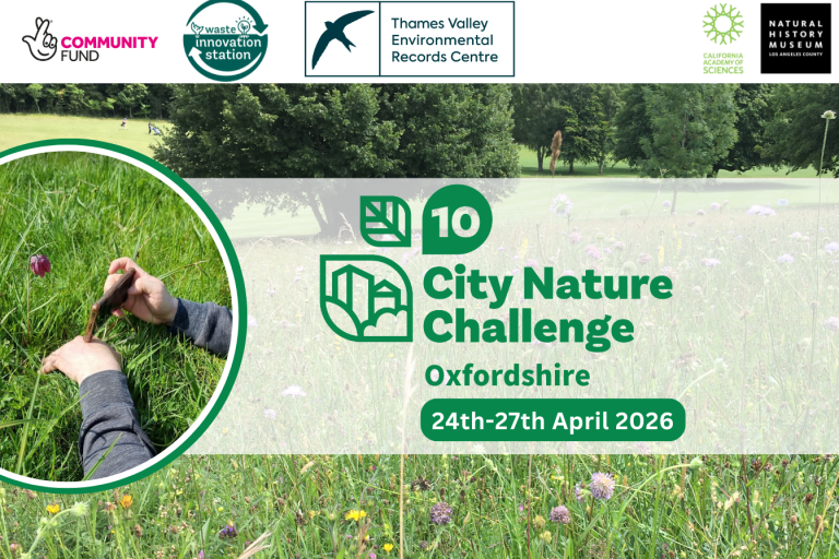 City Nature Challenge 2026