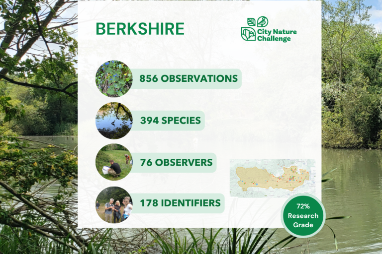Berkshire City Nature Challenge 2026 results