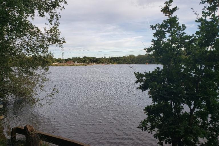 Large lake surrounded by mature trees, with rippling water beneath a cloudy sky and leafy branches framing the view.