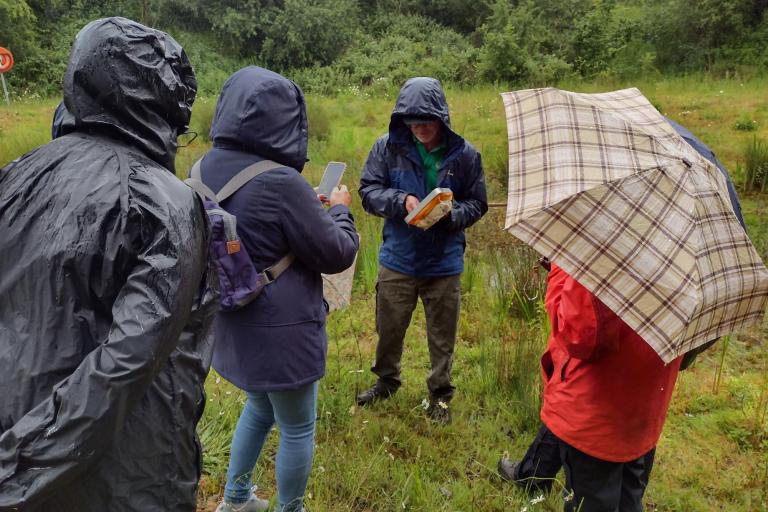 Participants wearing waterproof clothing gather in a wet grassland habitat during rainy weather while a guide demonstrates wildlife survey techniques under umbrellas and rain jackets.