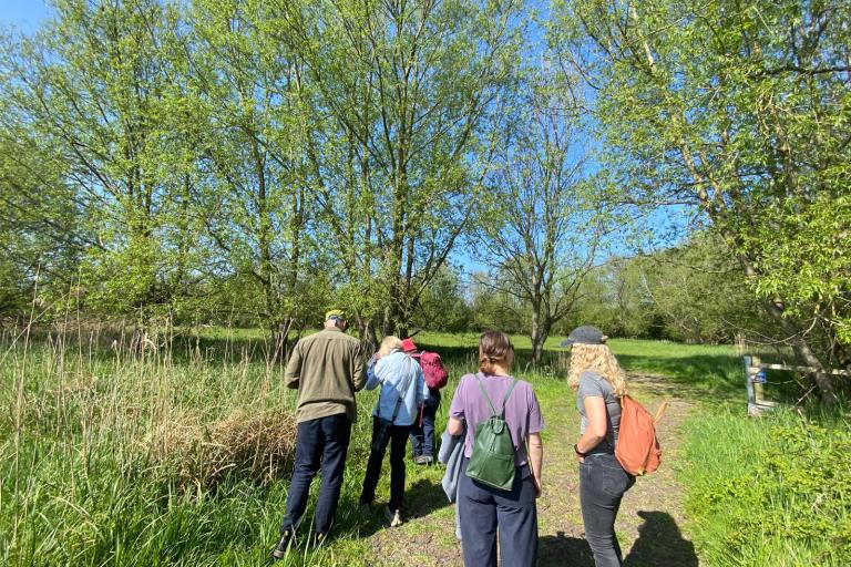 Participants walk along a sunlit path through a green wetland landscape, surrounded by tall reeds and leafy trees during a guided nature walk.