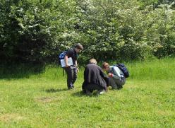 three adults looking at plants at the edge of a meadow