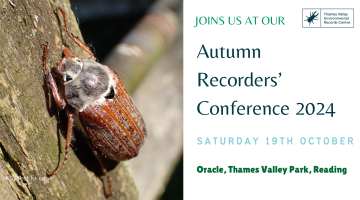 Autumn Recorders' Conference 2024