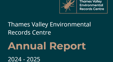 Annual report 24-25