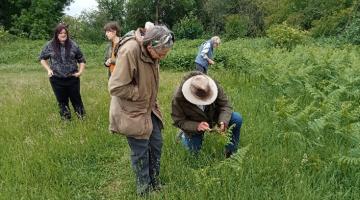 Several people are standing and crouching in a grassy, green field surrounded by trees and shrubs. One person is kneeling and closely examining or picking plants, while others observe or look at the ground.