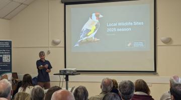 Autumn Recorders' Conference 2025 LWS presentation