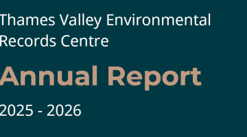 Annual report 25-26