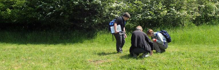 three adults looking at plants and the edge of a meadow